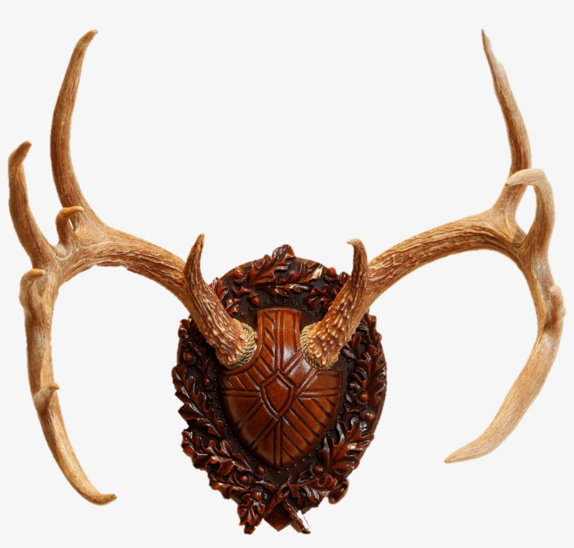 Deer Horns Png, transparent png