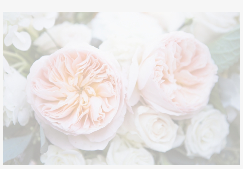 Banner Flowers Even Lighter, transparent png