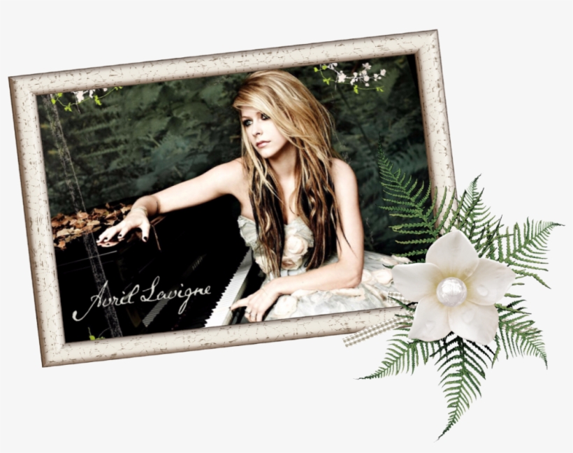 Photo Shoot, transparent png