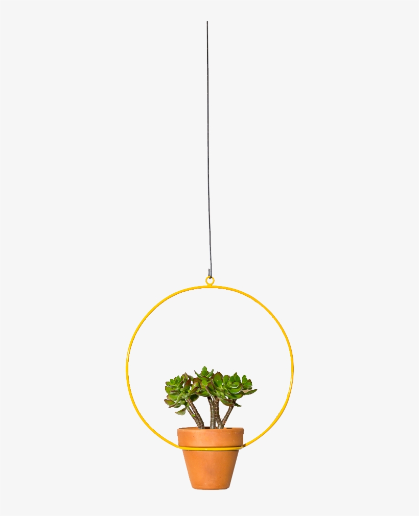 Hanging Circle Planter 10" - Flowerpot, transparent png
