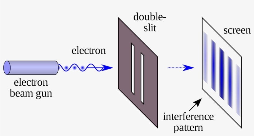 The Double Slit Experiment Esfstream - Double Slit Experiment, transparent png