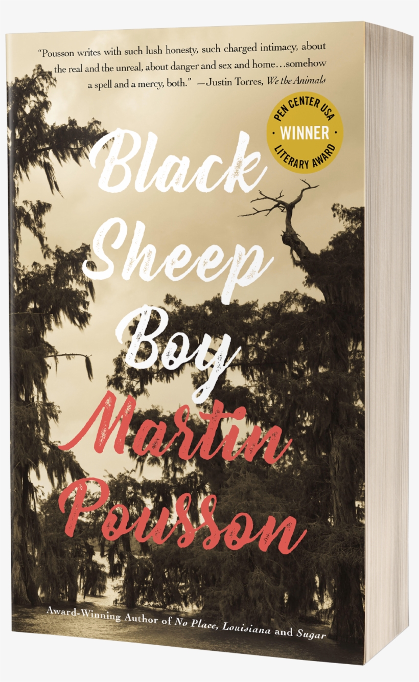 Black Sheep Boy - Poster, transparent png