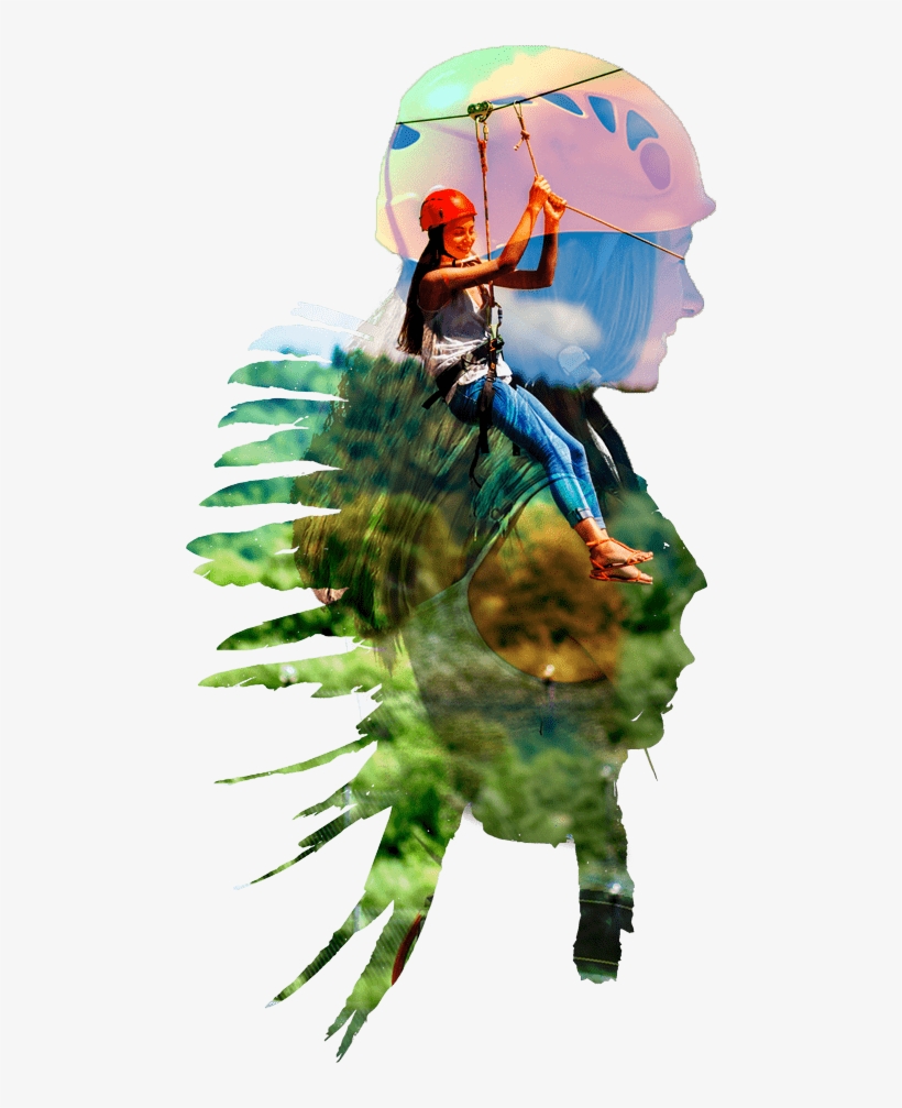 Macaw, transparent png
