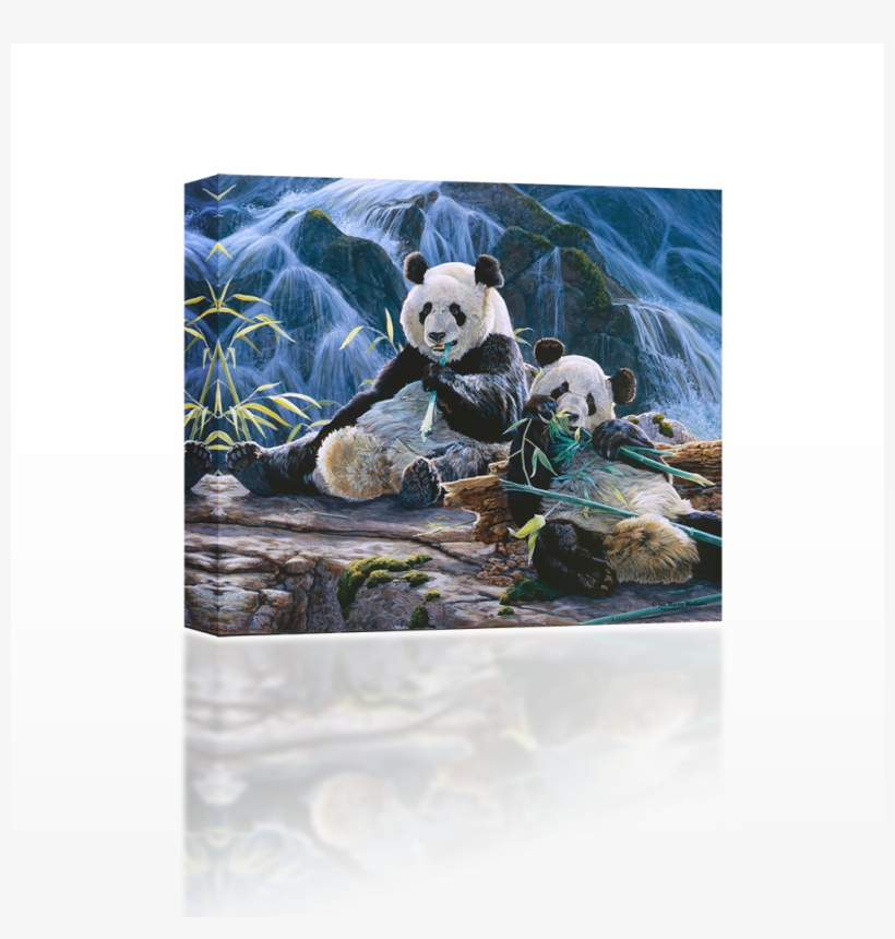 Panda Near Waterfalls, transparent png