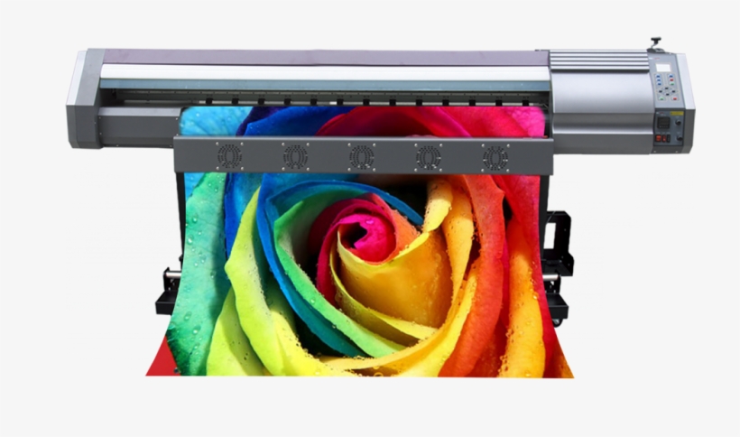 Grandes Formatos - Rose, transparent png