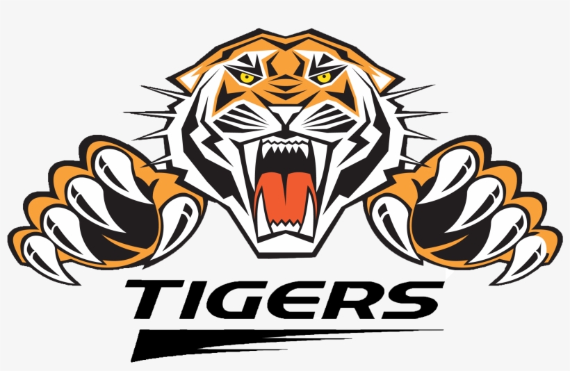 Tigers Png, transparent png