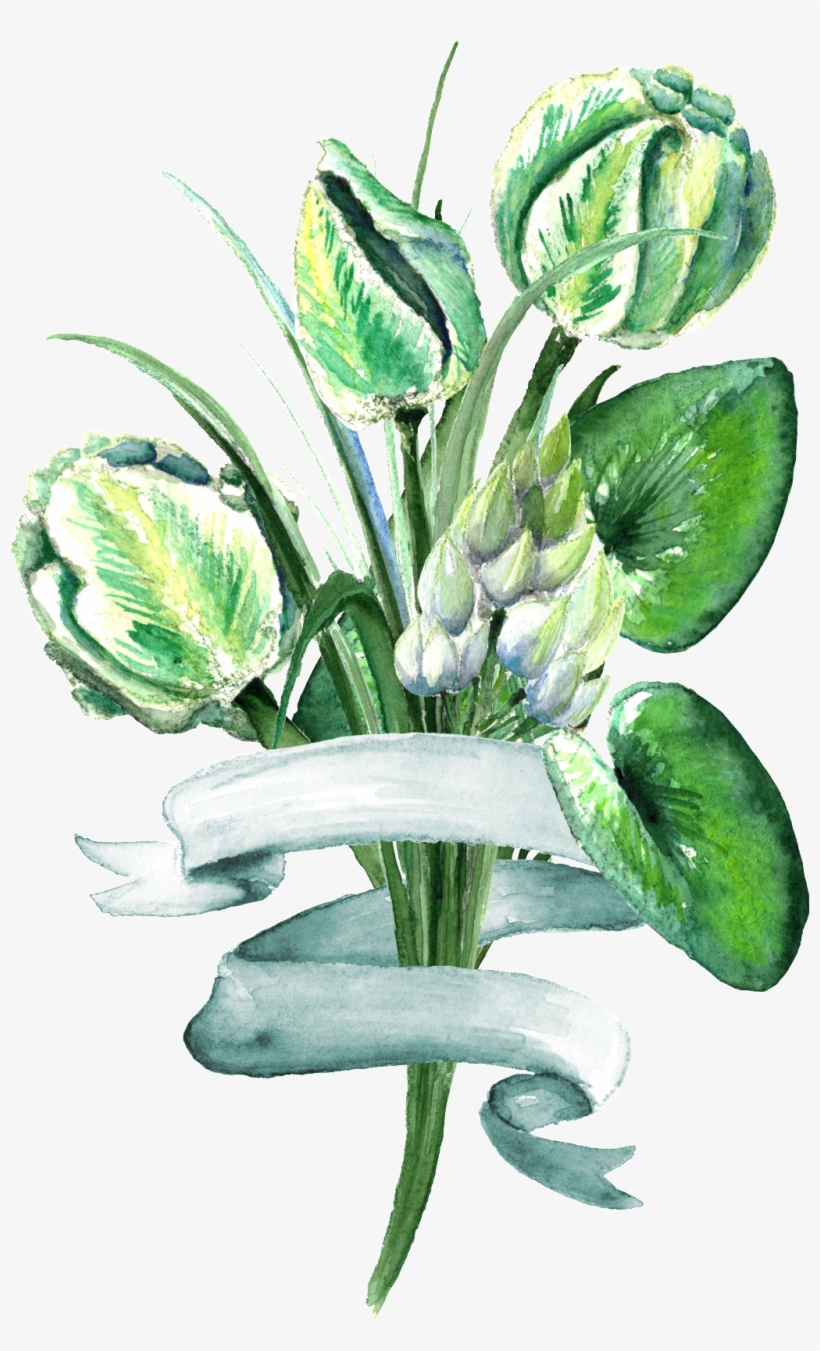 Estilo Elegante Planta Verde Png Transparente - Bouquet, transparent png