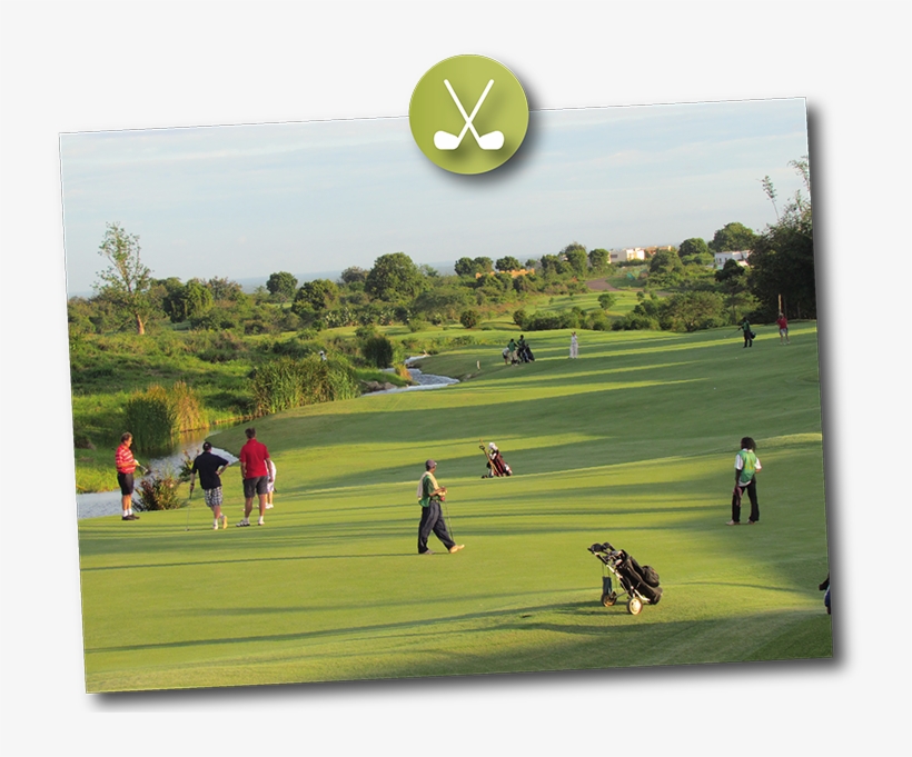 Activity Safaris Golf Safari - Grass, transparent png