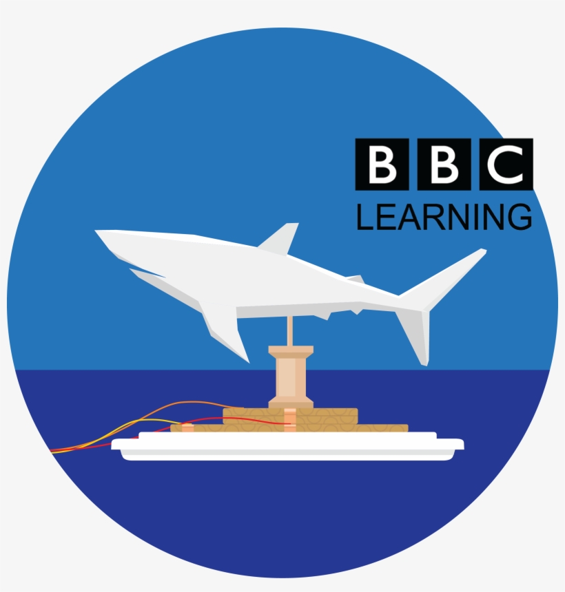 Exploring Shark Movement - Salem Events, transparent png