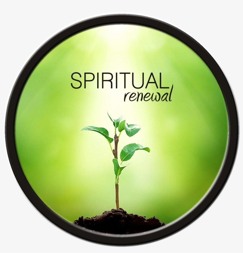 Spiritual Renewal - Plant A Tree And Add A New Friend In Your Life, transparent png