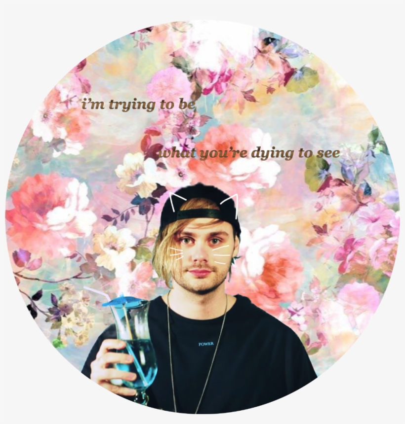 Michaelclifford 5sos 5secondsofsummer Kitten Catears, transparent png