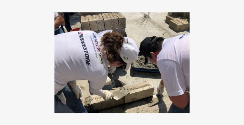 Bridgestone Mexico And Habitat For Humanity Launch - Dairy Cow, transparent png