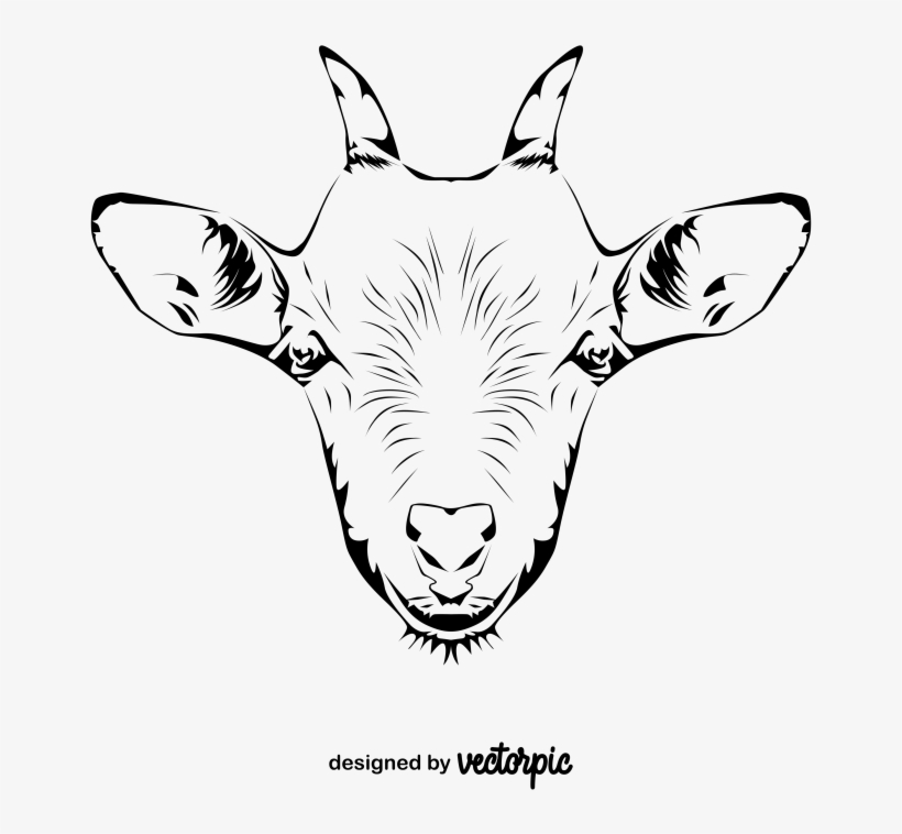 Line Art, transparent png