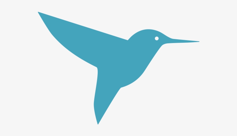 Apollo - Hummingbird, transparent png