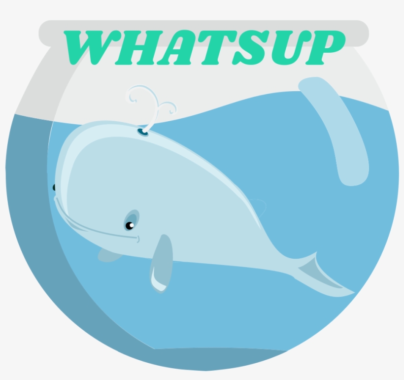 Whatsup 1 Original - Whale, transparent png