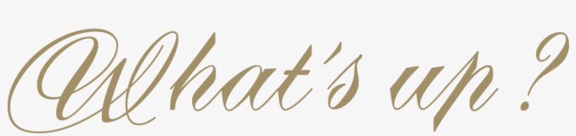 For The 1rst Time, Rose Desgranges Crosses Over Atlantic - Calligraphy, transparent png