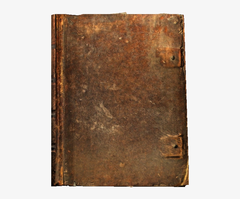 Wood, transparent png