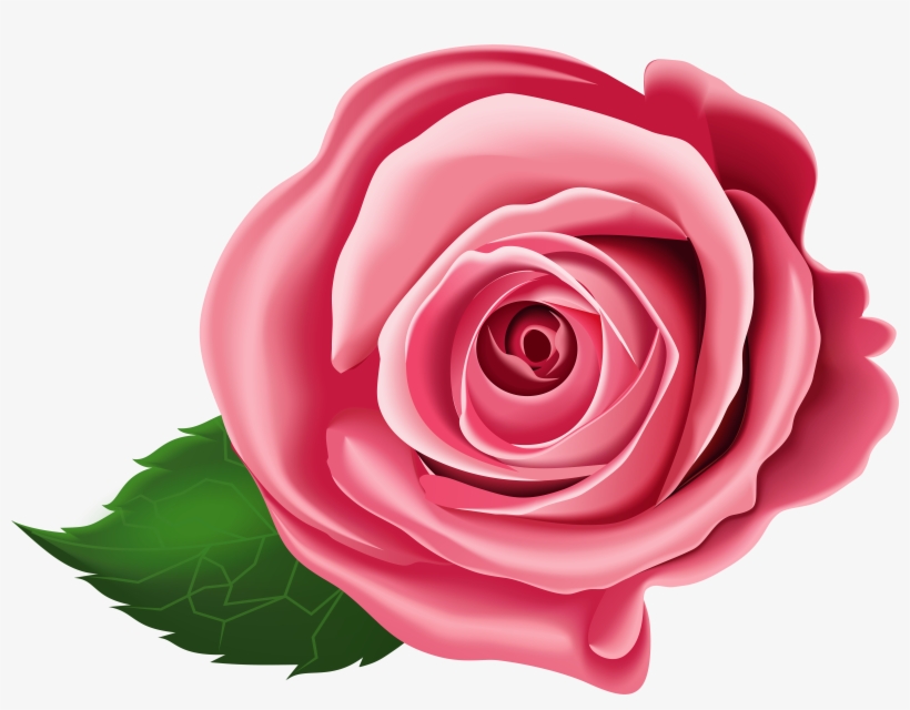 Rose Transparent Png Clip Art - Free Transparent Roses Clipart, transparent png