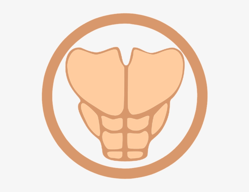 Muscle Clipart Gym - Birthday, transparent png