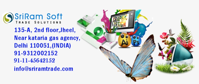 Website Designing In Bhim Nagar And Bhgal,web Development - Lycaenid, transparent png
