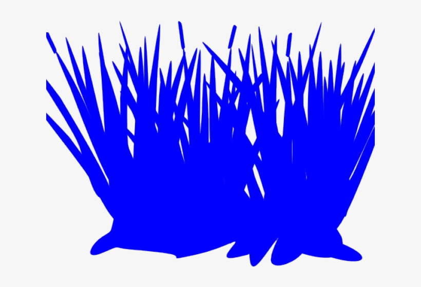 Clip Art, transparent png
