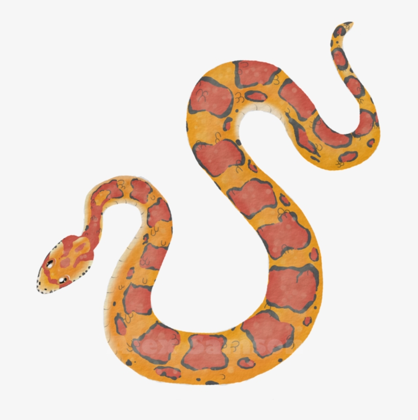 Corn Snake Png - Dibujo Serpiente Del Maiz, transparent png