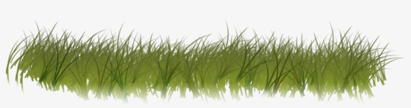 Clipart Grass Forest Grass - Forest Grass Transparent, transparent png