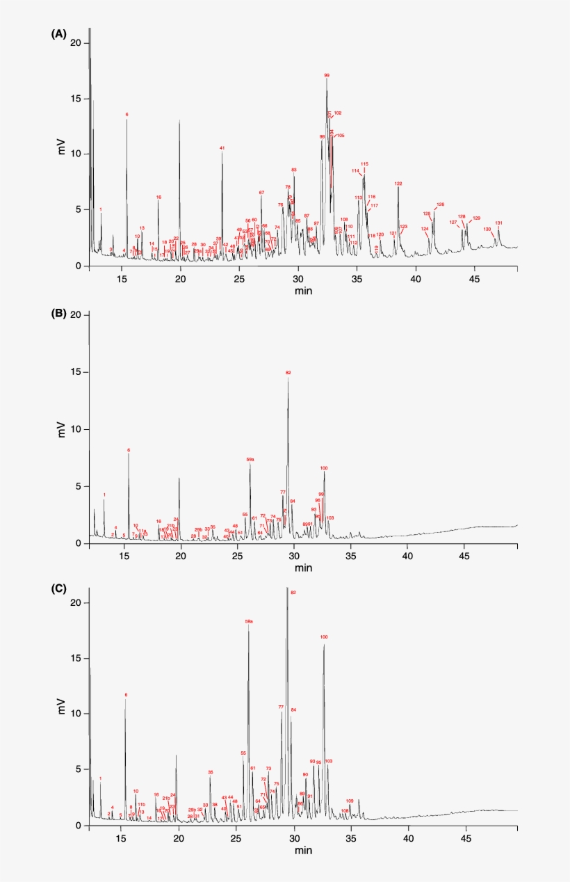 Gas Chromatograms Of Total Body Wash Of 30 Workers - Diagram, transparent png