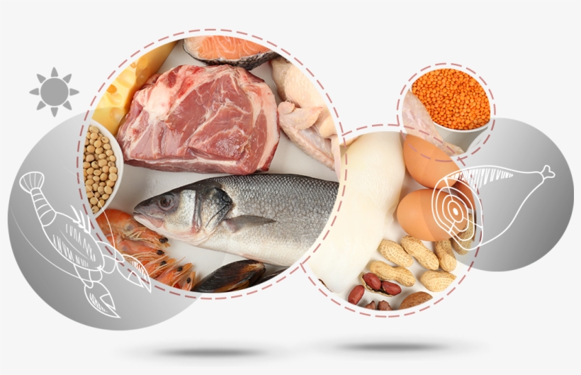 Meat Egg Legumes - Et Yumurta Kuru Baklagiller Grubu, transparent png