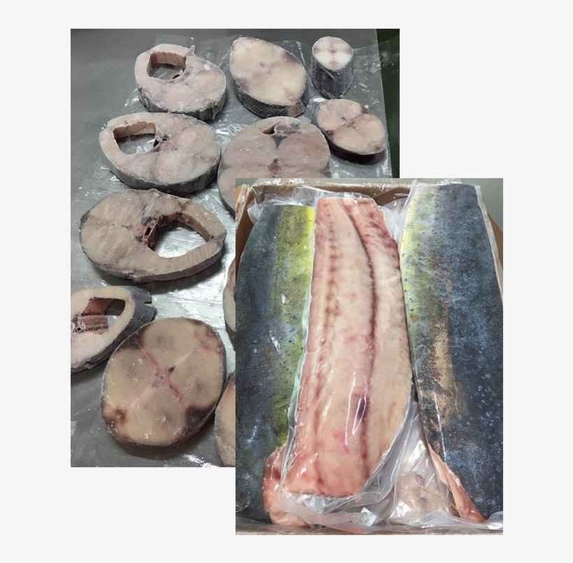Neem Contact Op - Anchovy (food), transparent png