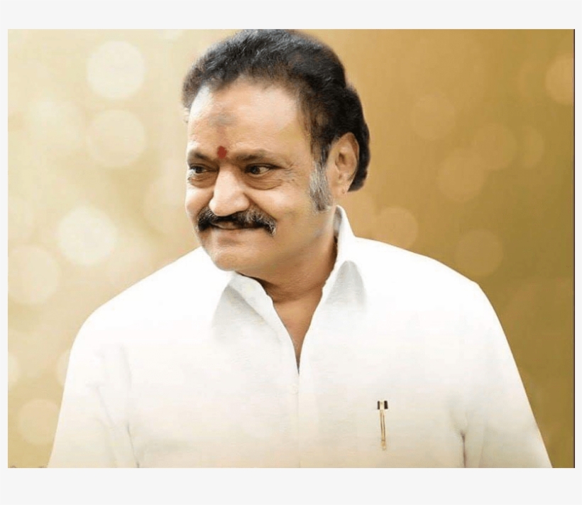 Nandamuri Harikrishna Dies In Road Accident - Hari Krishna, transparent png