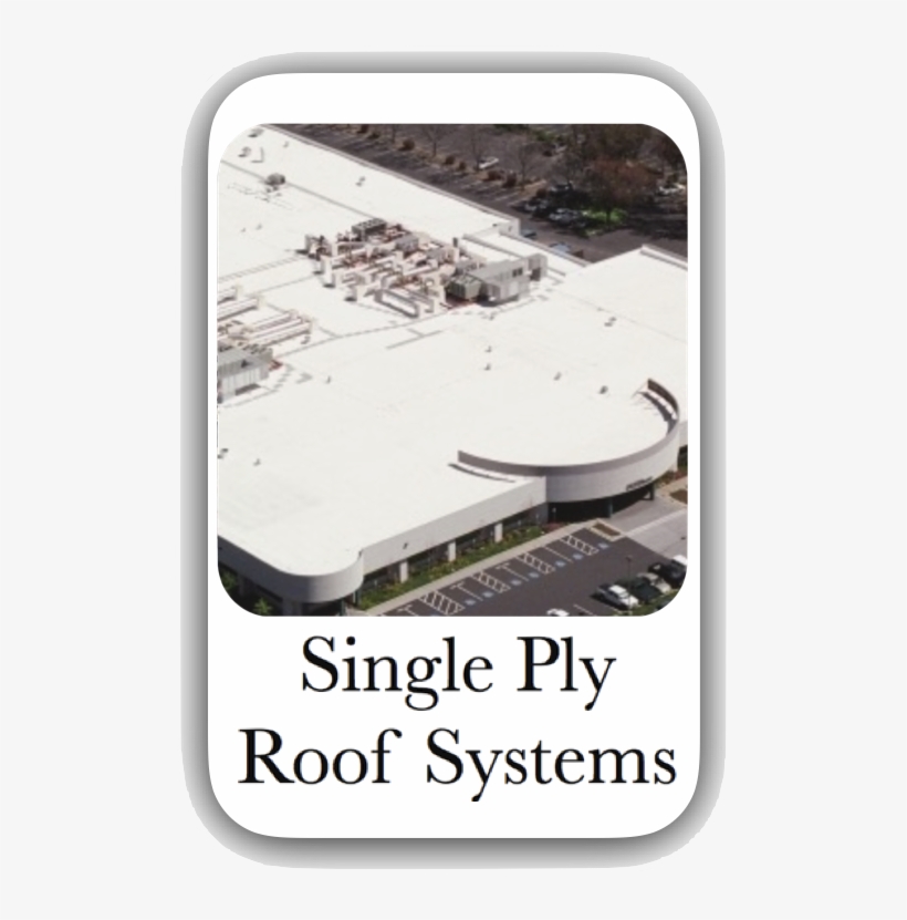 Single Ply Button New - We Didn T See Coming, transparent png