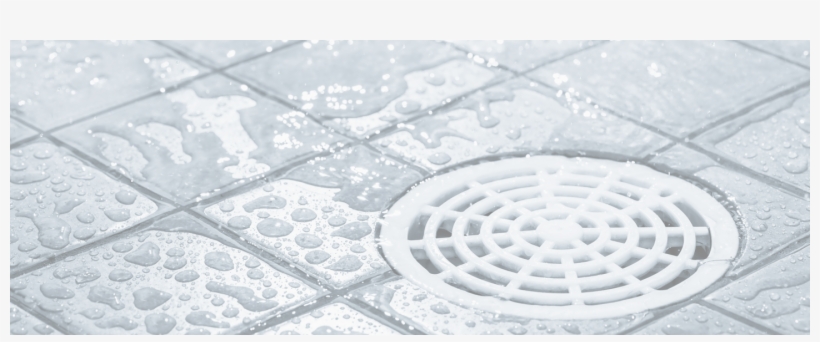 Lvi-tukku / Tuotteet - Shower, transparent png