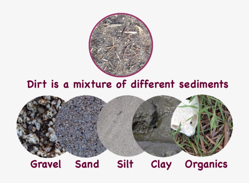 As You Can See - Stye Eye, transparent png