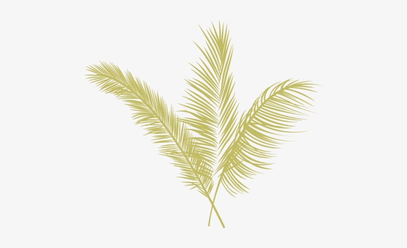 Eugene Local Food Carts - Yellow Palm Leaves Png, transparent png