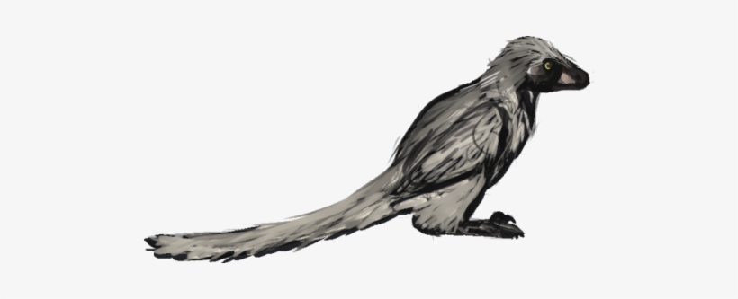 Jurassic Feathers Au - American Crow, transparent png