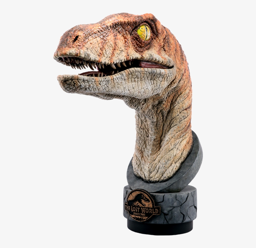 30" Jurassic Park Life-size Bust Male Raptor - Jurassic Park Raptor Model, transparent png