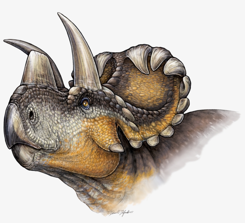 Wendiceratops - Dinosaur Horn, transparent png
