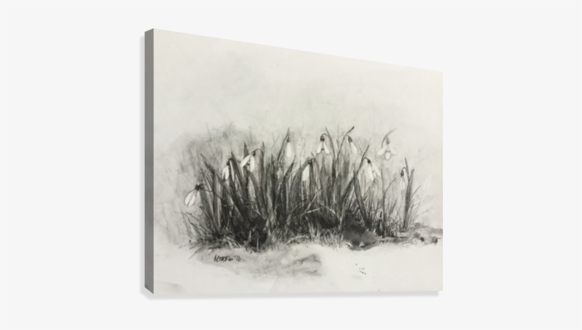 Snowdrops Art - Artist, transparent png