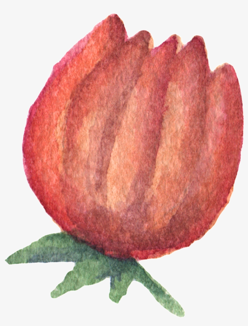 Hand Painted Orange Red Flowers Watercolor Transparent - Orange, transparent png