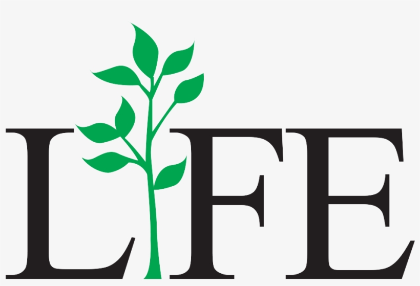 Life Png Photo - Reeds Jewelers, transparent png