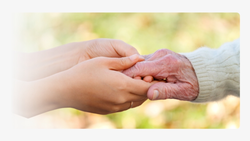 Hands - Helping Hands, transparent png