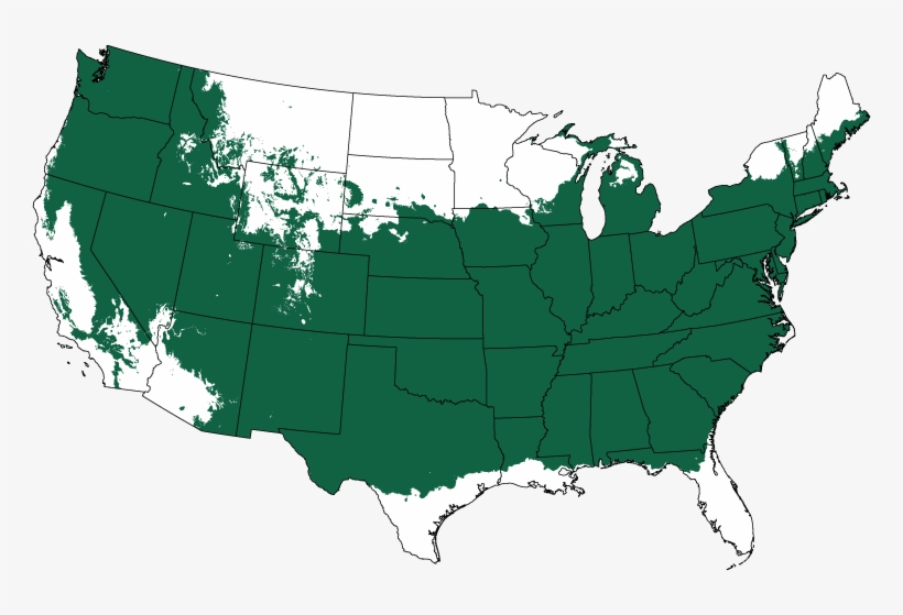 Luna Semi-dwarf Apple Tree - Edmond Ok On Map, transparent png