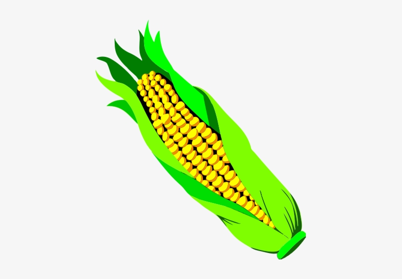 Ear Of Corn - Cob Clipart, transparent png