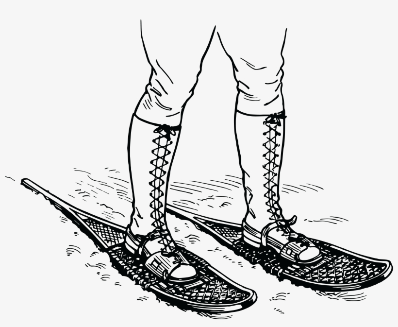 , , - Snowshoes Drawing, transparent png