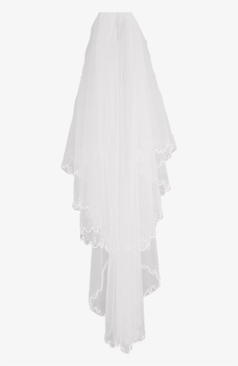 Veil 2 By ~hellonlegs On Deviantart Wedding Inspiration, - Portable Network Graphics, transparent png