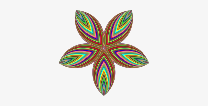 Common Sunflower Symmetry Leaf Star - Common Sunflower, transparent png
