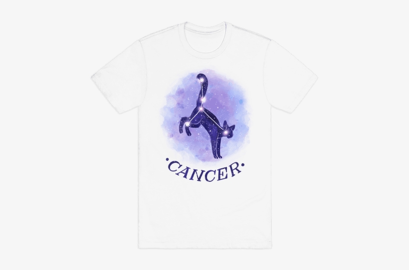 Cancer Mens T-shirt - Succulent Cactus T Shirt, transparent png