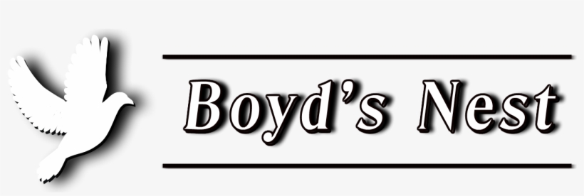 Calligraphy, transparent png