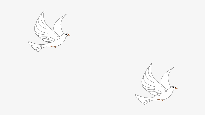 Clipart Dove Clip Art At Clker Com Vector - Sketch, transparent png